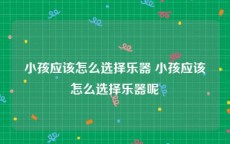 小孩应该怎么选择乐器 小孩应该怎么选择乐器呢