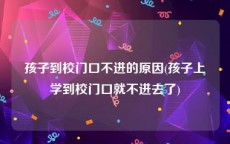 孩子到校门口不进的原因(孩子上学到校门口就不进去了)
