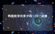 鸭苗批发价多少钱一只一点黑