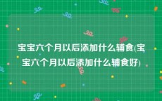 宝宝六个月以后添加什么辅食(宝宝六个月以后添加什么辅食好)