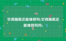 空调漏氨还能维修吗(空调漏氨还能维修吗吗)