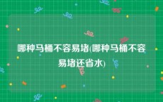 哪种马桶不容易堵(哪种马桶不容易堵还省水)