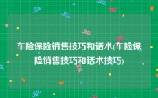 车险保险销售技巧和话术(车险保险销售技巧和话术技巧)