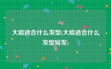 大脸适合什么发型(大脸适合什么发型短发)