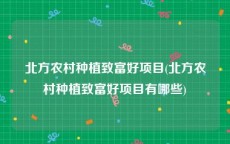 北方农村种植致富好项目(北方农村种植致富好项目有哪些)