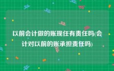 以前会计做的账现任有责任吗(会计对以前的账承担责任吗)