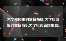 大学校园里的空白商机(大学校园里的空白商机大学校园新颖生意)