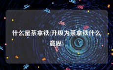 什么是茶拿铁(升级为茶拿铁什么意思)