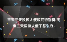 宝宝三天没拉大便放屁特别臭(宝宝三天没拉大便了怎么办)