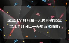 宝宝几个月开始一天两次辅食(宝宝几个月可以一天加两次辅食)