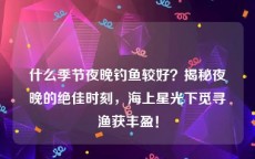 什么季节夜晚钓鱼较好？揭秘夜晚的绝佳时刻，海上星光下觅寻渔获丰盈！