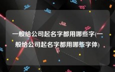 一般给公司起名字都用哪些字(一般给公司起名字都用哪些字体)