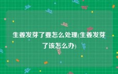 生姜发芽了要怎么处理(生姜发芽了该怎么办)