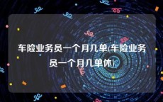 车险业务员一个月几单(车险业务员一个月几单休)