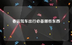 春运驾车出行必备哪些东西