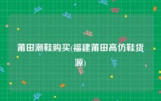 莆田潮鞋购买(福建莆田高仿鞋货源)