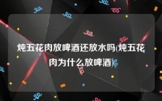 炖五花肉放啤酒还放水吗(炖五花肉为什么放啤酒)