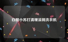 白醋小苏打清理滚筒洗衣机