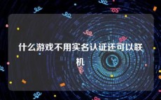 什么游戏不用实名认证还可以联机