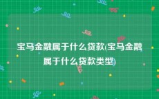 宝马金融属于什么贷款(宝马金融属于什么贷款类型)