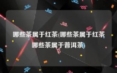 哪些茶属于红茶(哪些茶属于红茶哪些茶属于普洱茶)