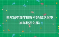 哈尔滨中加学校好不好(哈尔滨中加学校怎么样)