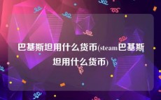巴基斯坦用什么货币(steam巴基斯坦用什么货币)