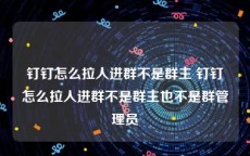 钉钉怎么拉人进群不是群主 钉钉怎么拉人进群不是群主也不是群管理员
