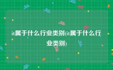 it属于什么行业类别(it属于什么行业类别)