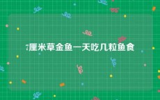 7厘米草金鱼一天吃几粒鱼食