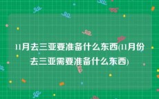 11月去三亚要准备什么东西(11月份去三亚需要准备什么东西)
