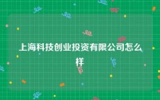 上海科技创业投资有限公司怎么样