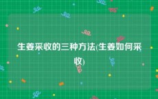 生姜采收的三种方法(生姜如何采收)