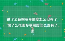 饿了么花呗专享额度怎么没有了 饿了么花呗专享额度怎么没有了呢