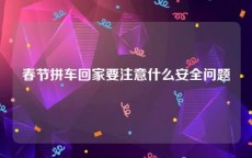 春节拼车回家要注意什么安全问题