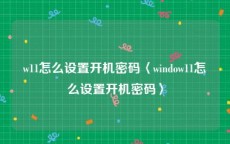 w11怎么设置开机密码〈window11怎么设置开机密码〉