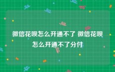微信花呗怎么开通不了 微信花呗怎么开通不了分付