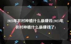 2023年农村种植什么最赚钱(2023年农村种植什么最赚钱了)