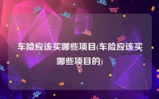 车险应该买哪些项目(车险应该买哪些项目的)
