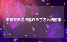 手机突然变成黑白色了怎么调回来