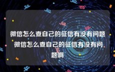 微信怎么查自己的征信有没有问题 微信怎么查自己的征信有没有问题啊