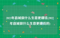 2022年县城做什么生意更赚钱(2022年县城做什么生意更赚钱的)