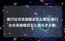 银行社会资源情况怎么填写(银行社会资源情况怎么填写才正确)