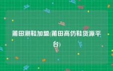 莆田潮鞋加盟(莆田高仿鞋货源平台)