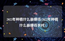 2022年种植什么最赚钱(2022年种植什么最赚钱农村)