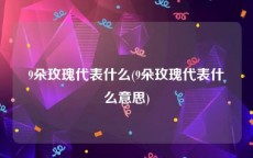 9朵玫瑰代表什么(9朵玫瑰代表什么意思)