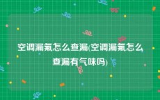 空调漏氟怎么查漏(空调漏氟怎么查漏有气味吗)