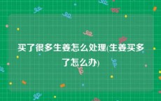 买了很多生姜怎么处理(生姜买多了怎么办)