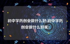 初中学历创业做什么好(初中学历创业做什么好呢)
