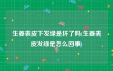 生姜表皮下发绿是坏了吗(生姜表皮发绿是怎么回事)